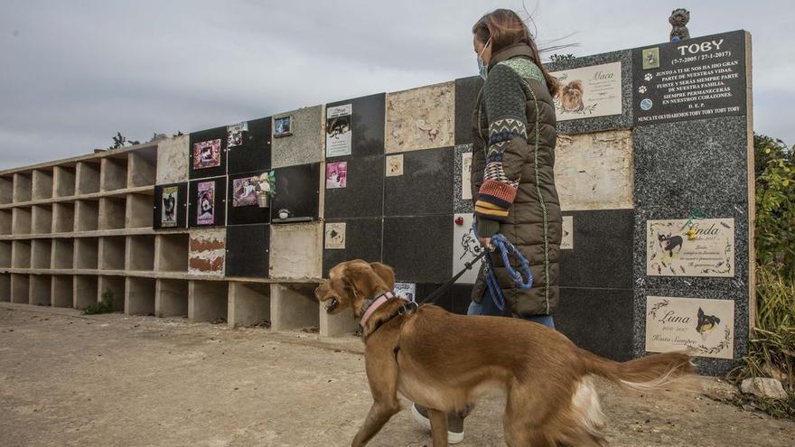 Imagen del cementerio de mascotas de Elche.