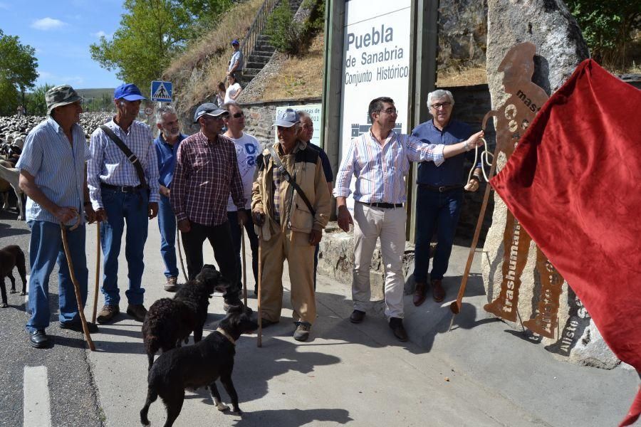 Las ovejas "toman" Puebla de Sanabria