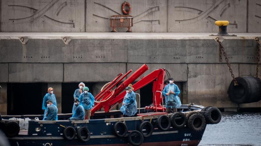 Alerta sanitaria por un brote de hantavirus en el crucero 'MV Hondius'