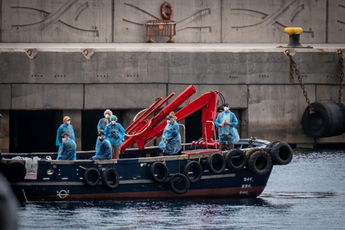 Las mejores imágenes del desembarco del MV Hondius en el Puerto de Granadilla