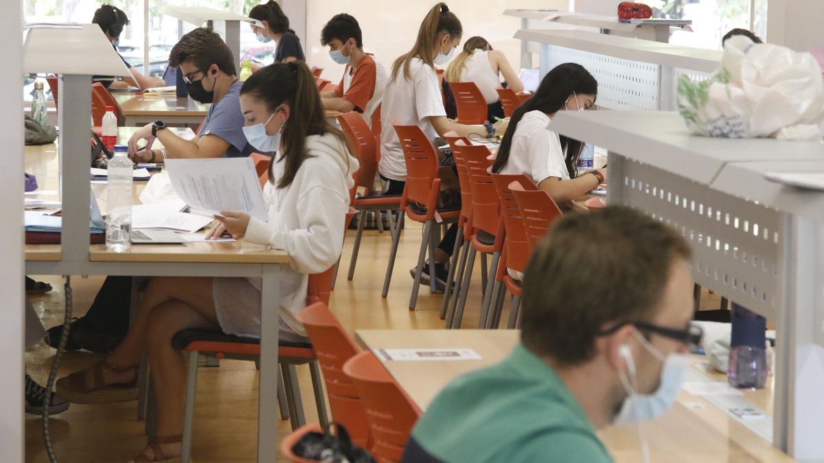 Alumnos universitarios en la biblioteca de la Facultad de Medicina de Córdoba.