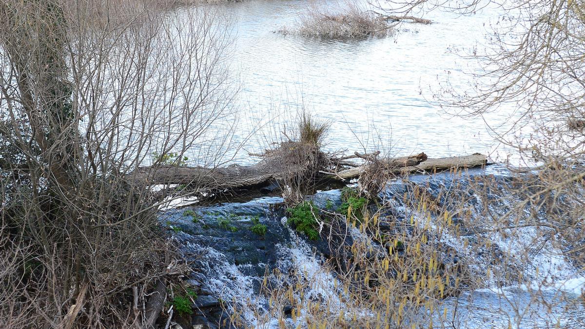 Troncos en una pesquera del río Jerte en Plasencia.