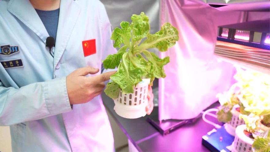 El dispositivo de cultivo de nueva generación que proporciona a los astronautas verduras frescas