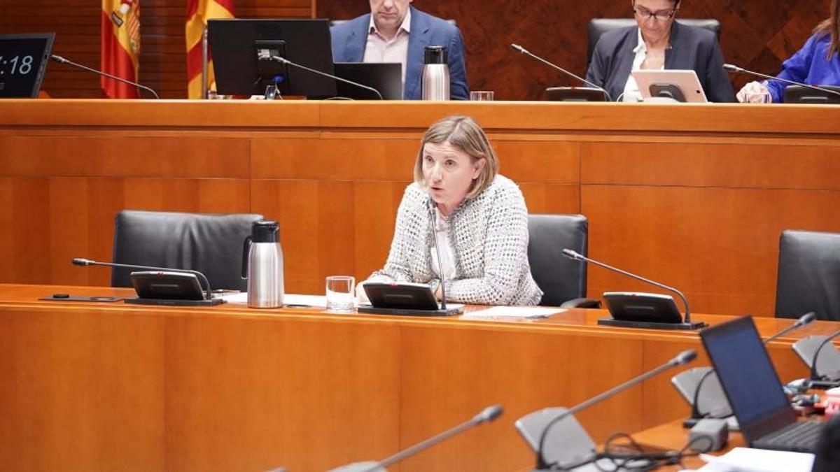 La directora general de Inclusión Social y Voluntariado, María Charte, ha comparecido este martes en las Cortes de Aragón.