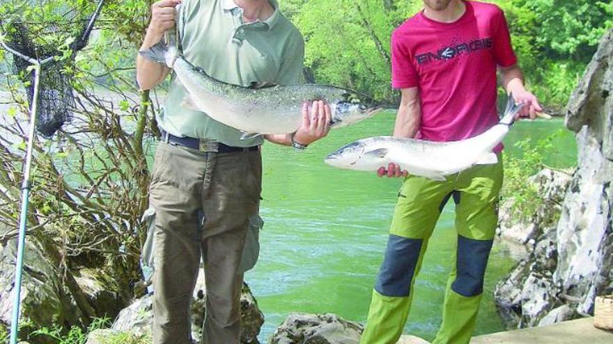 Arturo Martínez y Alfonso Collado, de Onís, muestran los peces que sacaron en el coto Remolina (Sella). A la derecha, el cangués Mocho, con el salmón que sacó del Sella, junto a Rogelio Diego.