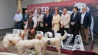 Más de 60 expositores darán contenido a la Feria de la Caza de Córdoba con mayor proyección internacional