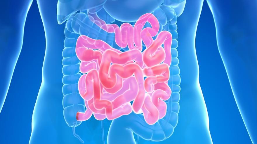 Síndrome del Intestino Irritable: la enfermedad crónica que más afecta a la calidad de vida