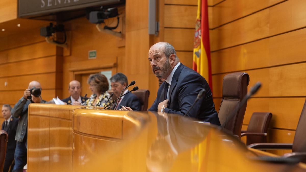 El presidente del Senado, Pedro Rollán, interviene durante una sesión plenaria.