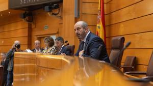 El presidente del Senado, Pedro Rollán, interviene durante una sesión plenaria.