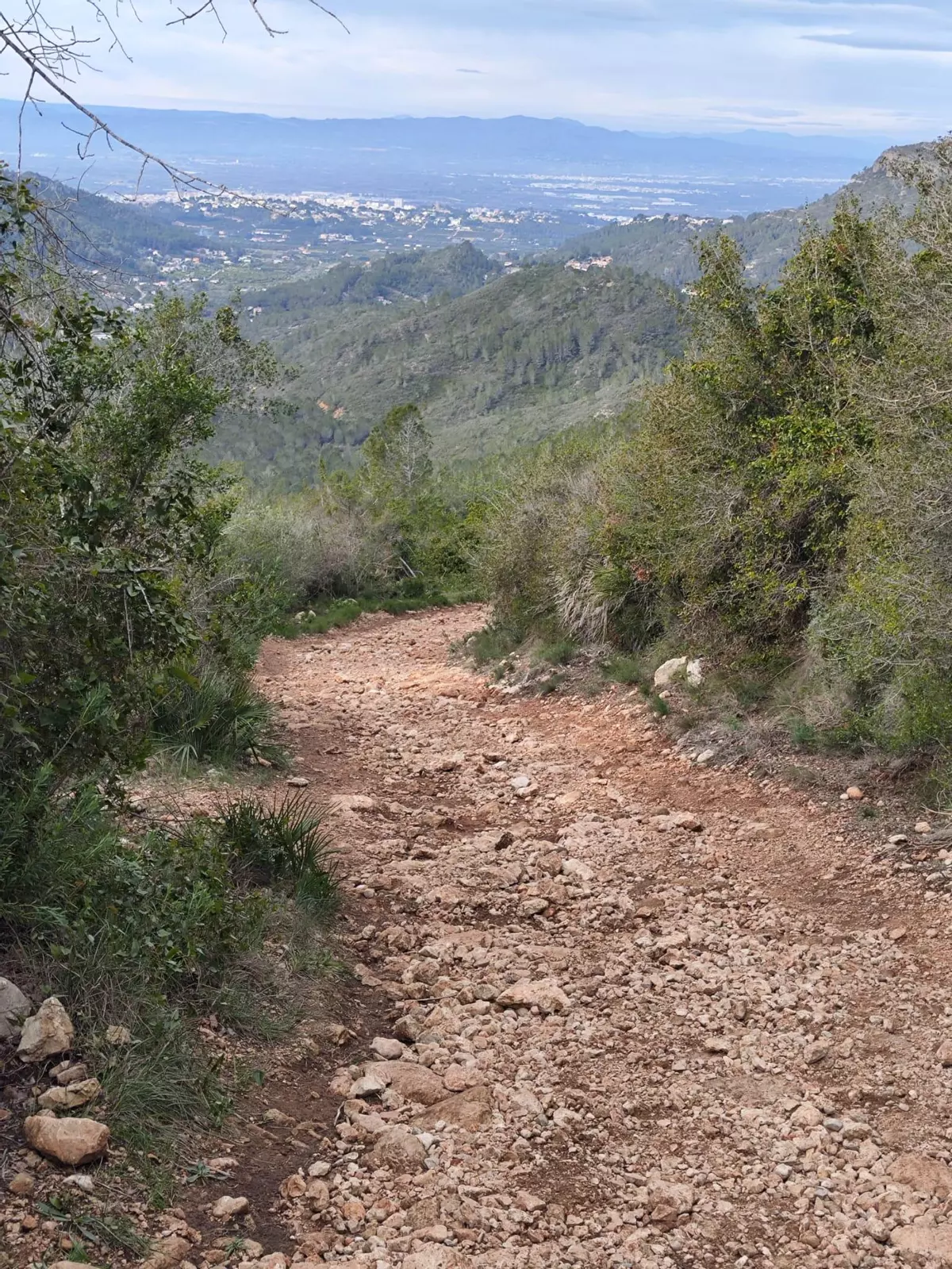 La huella de la dana en el monte: medio centenar de pistas forestales aún presentan daños en la Ribera