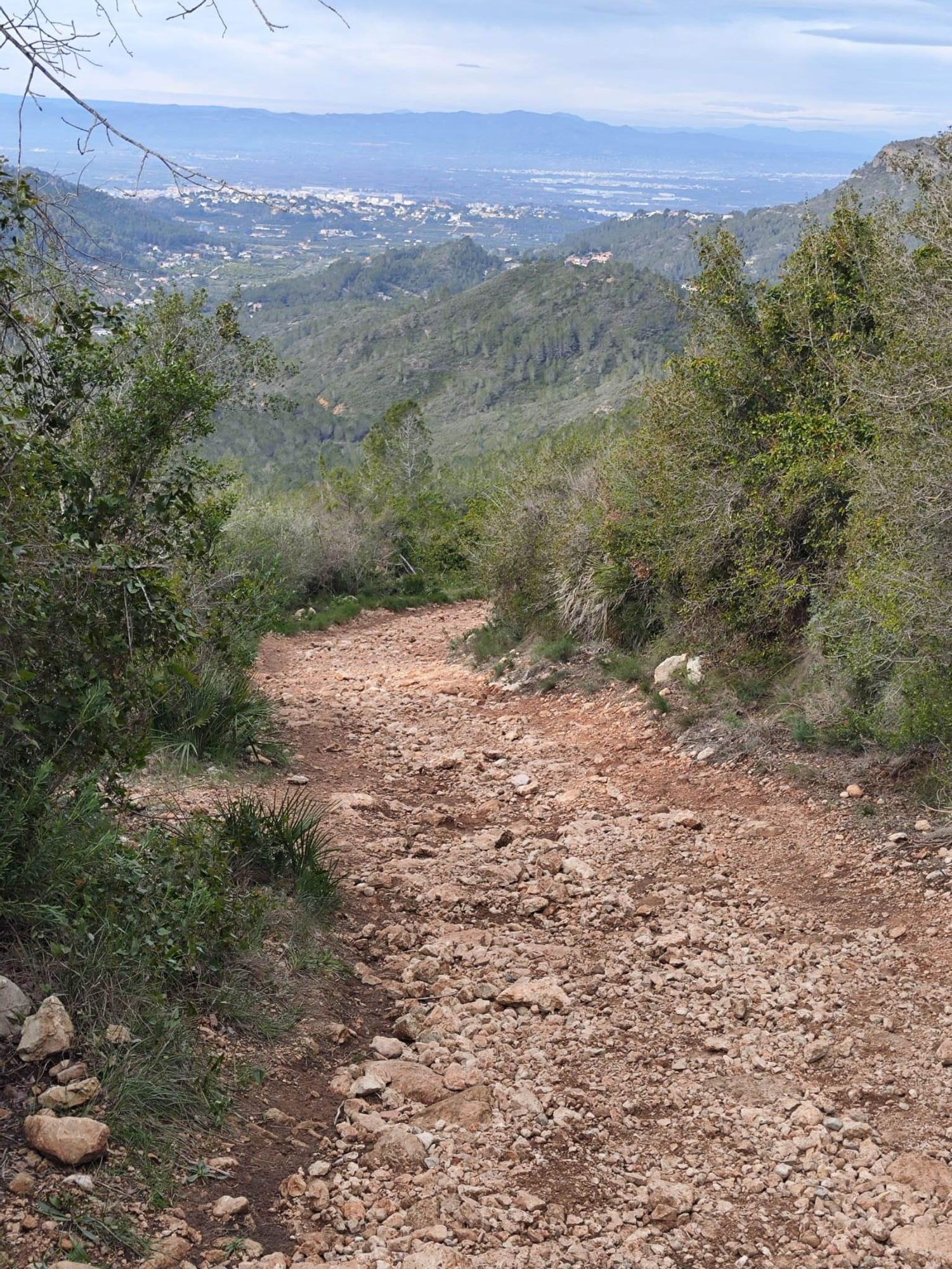 Una pista forestal descarnada en el paraje de la Murta de Alzira.