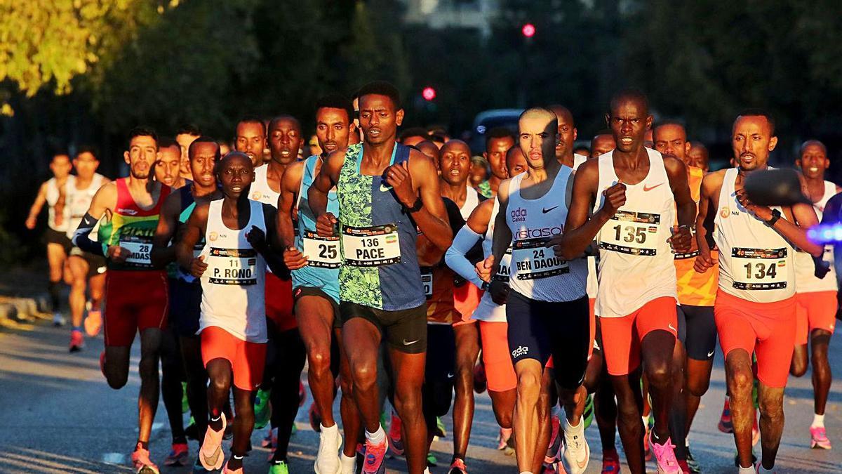 Los mejores atletas vuelven a citarse en el Maratón Valencia Trinidad Alfonso EDP. | F. CALABUIG