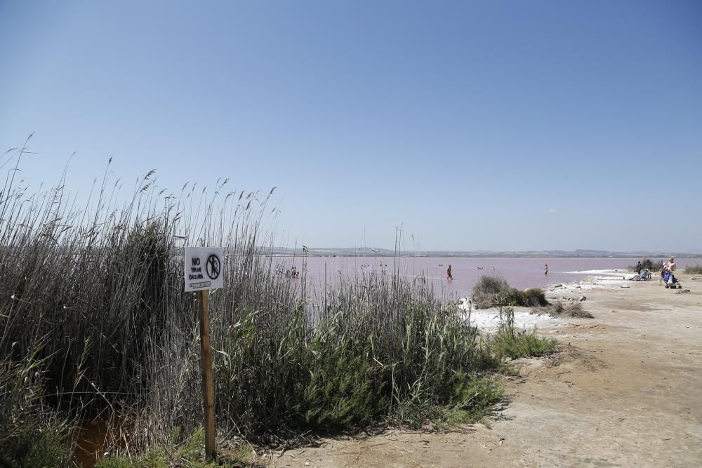 La salinera quiere evitar problemas de seguridad y vertido de residuos en las aguas de la laguna de Torrevieja y recuerda que el baño está prohibido, con nueva cartelería con el logo del Parque Natura