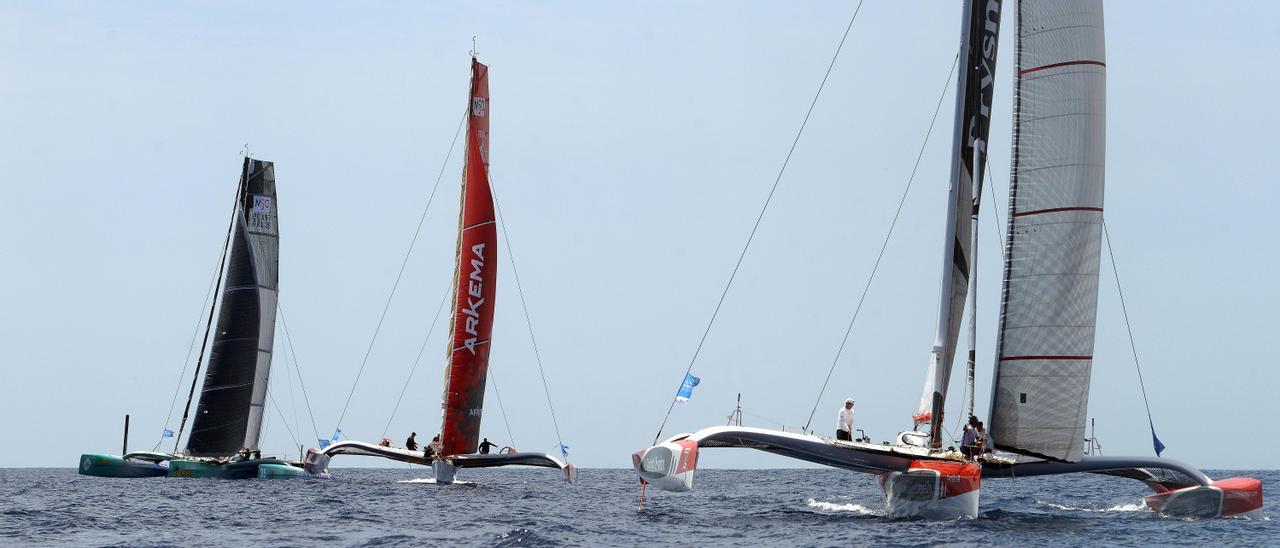 Trimaranes de la clase Ocean Fifty.