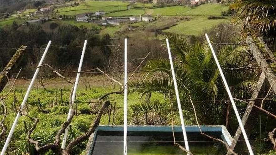 Vista del lugar de A Brea, uno de los afectados.  // Bernabé/Javier Lalín