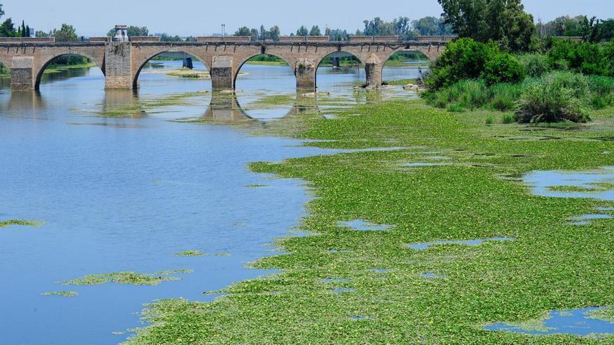 La CHG abre las compuertas del azud de La Granadilla en Badajoz