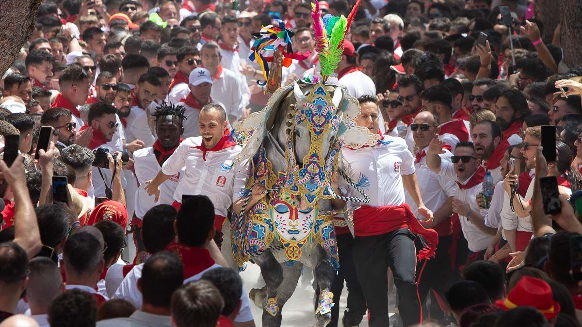 Carrera de los Caballos del Vino.