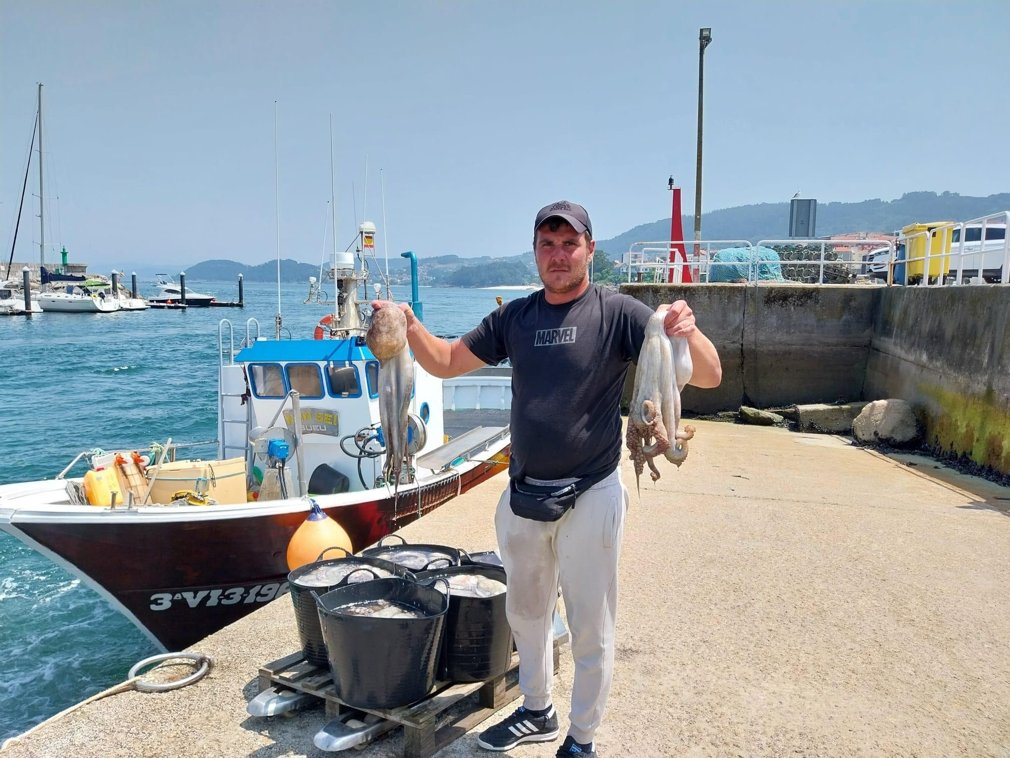 El inicio de la campaña del pulpo en el puerto de Bueu