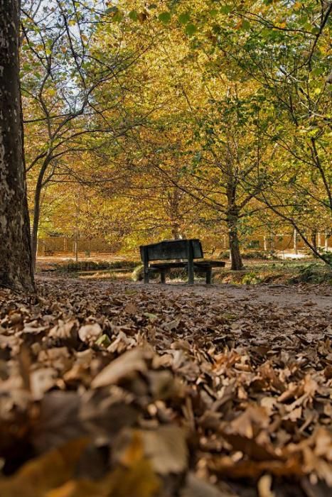 Fuentes del Marques: El otoño nace en Caravaca