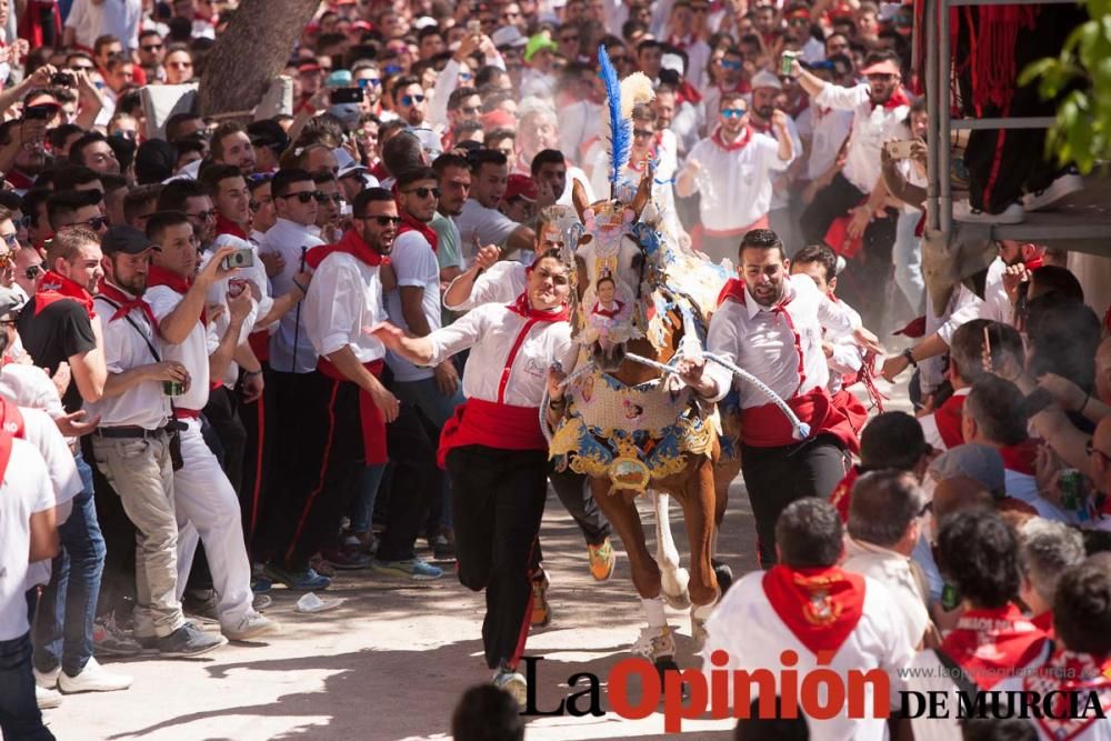 Carrera de los Caballos del Vino