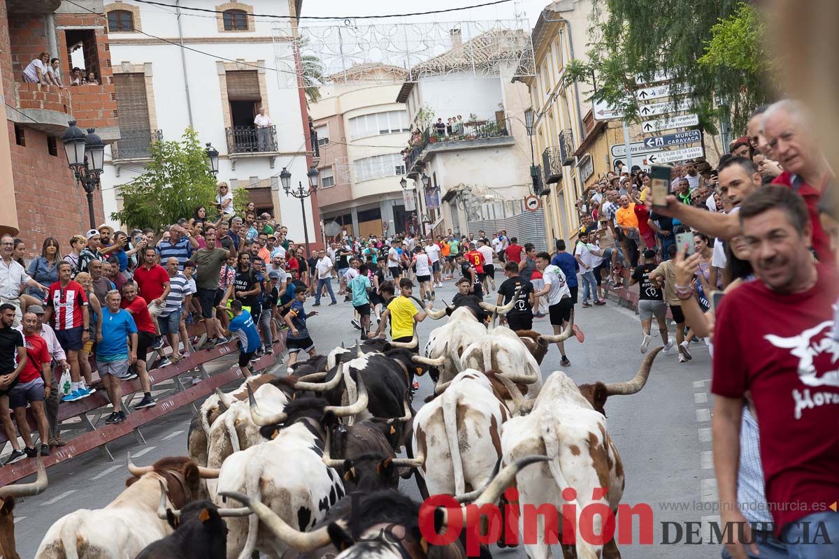 Cuarto encierro en las Fiestas de Moratalla