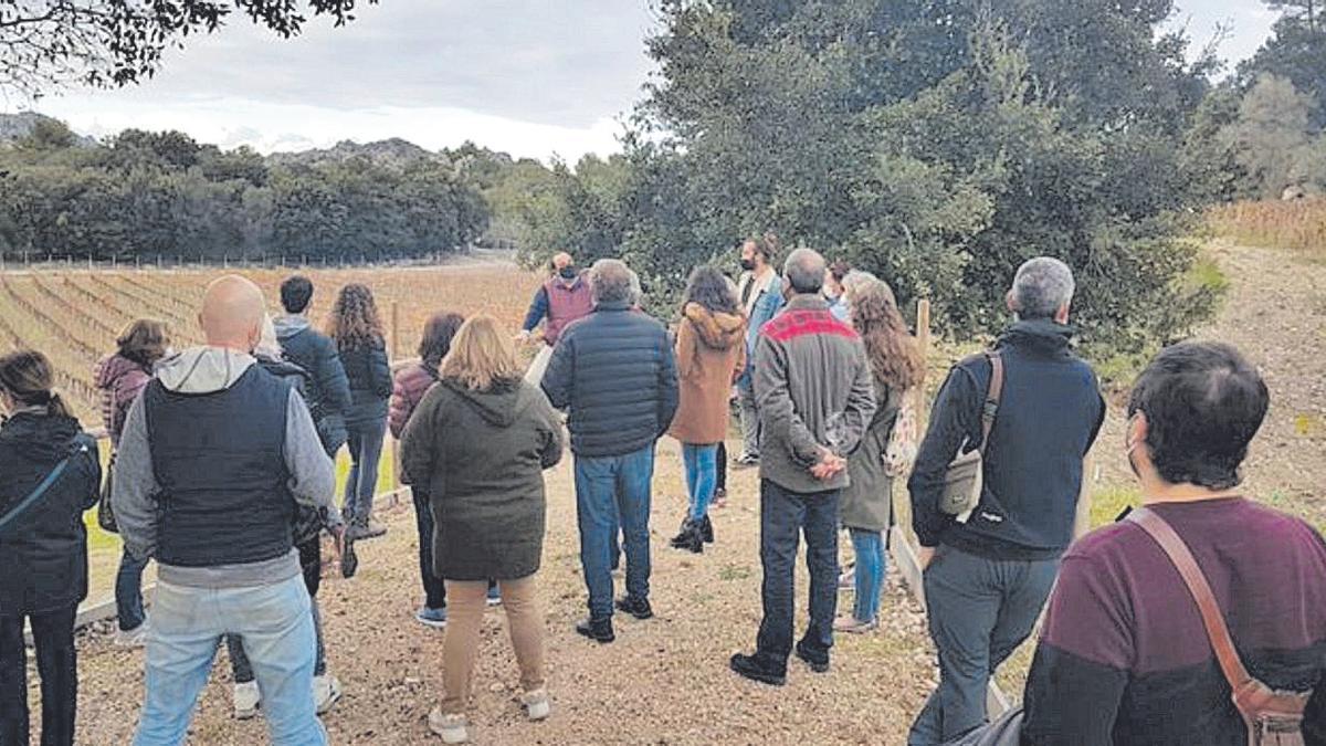 Visita a Vinyes Mortitx en el marco de la Semana Gastronómica.