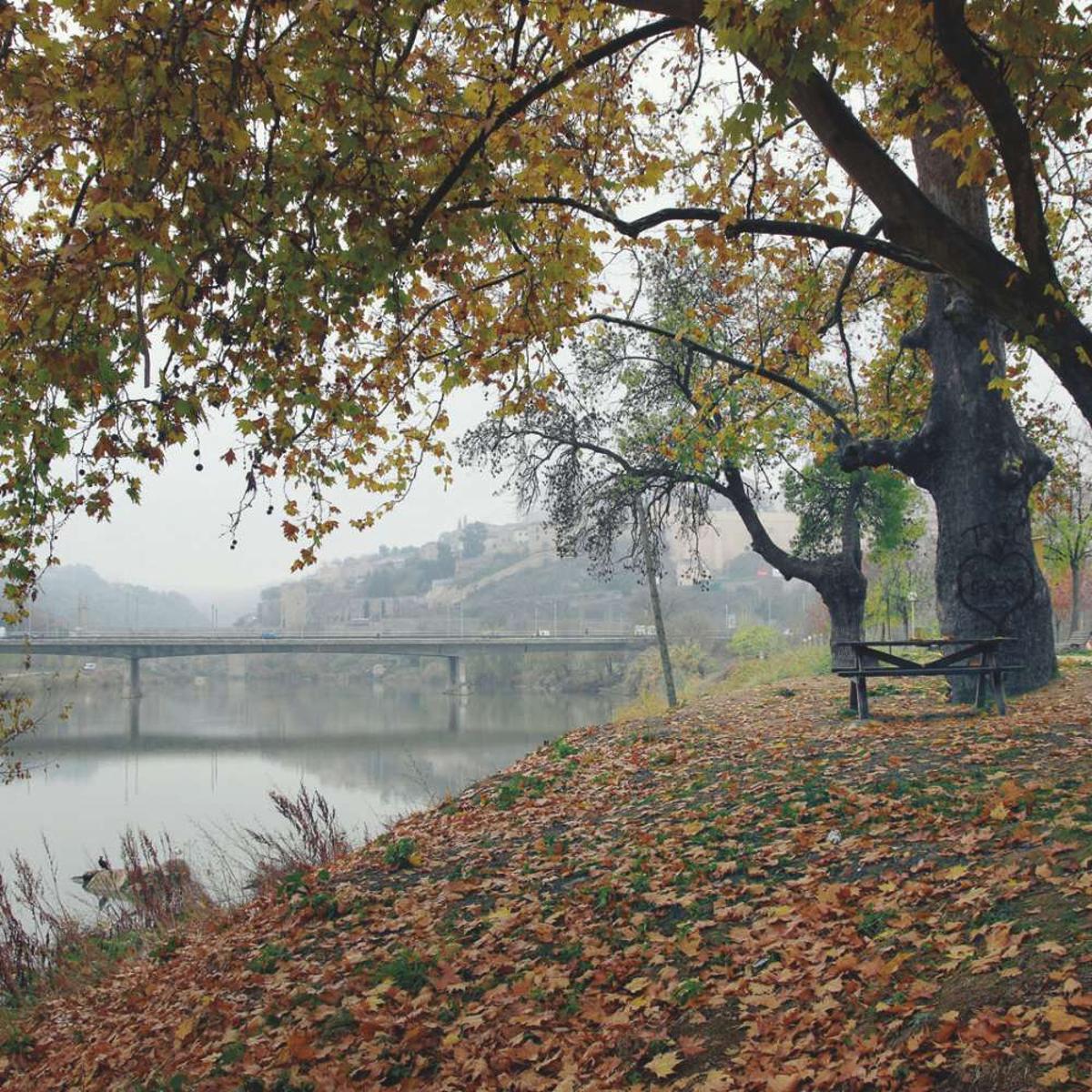 Inmediaciones del río Tajo