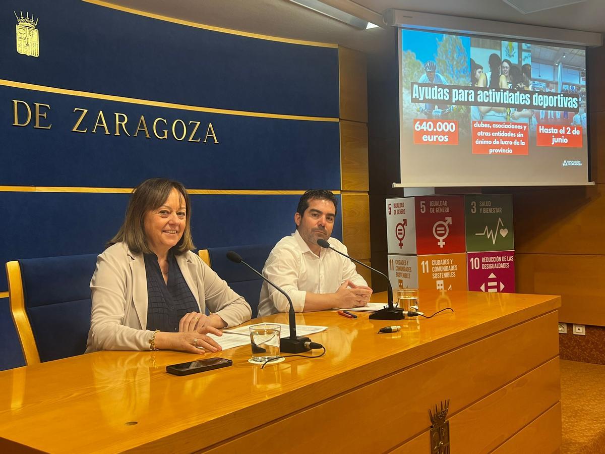 Las bases para las ayudas de la DPZ se presentaron ayer