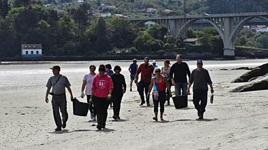 Voluntarios de Bergondo, en una jornada de limpieza en O Pedrido en 2017.