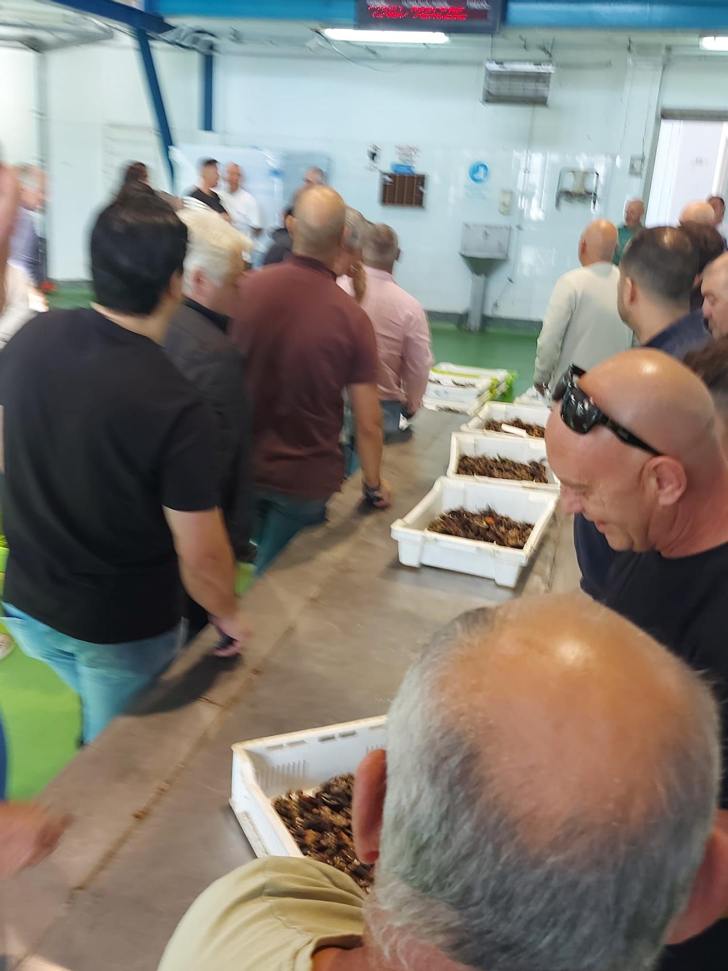 En imágenes: La primera subasta de percebe de la temporada en la rula de Puerto de Vega