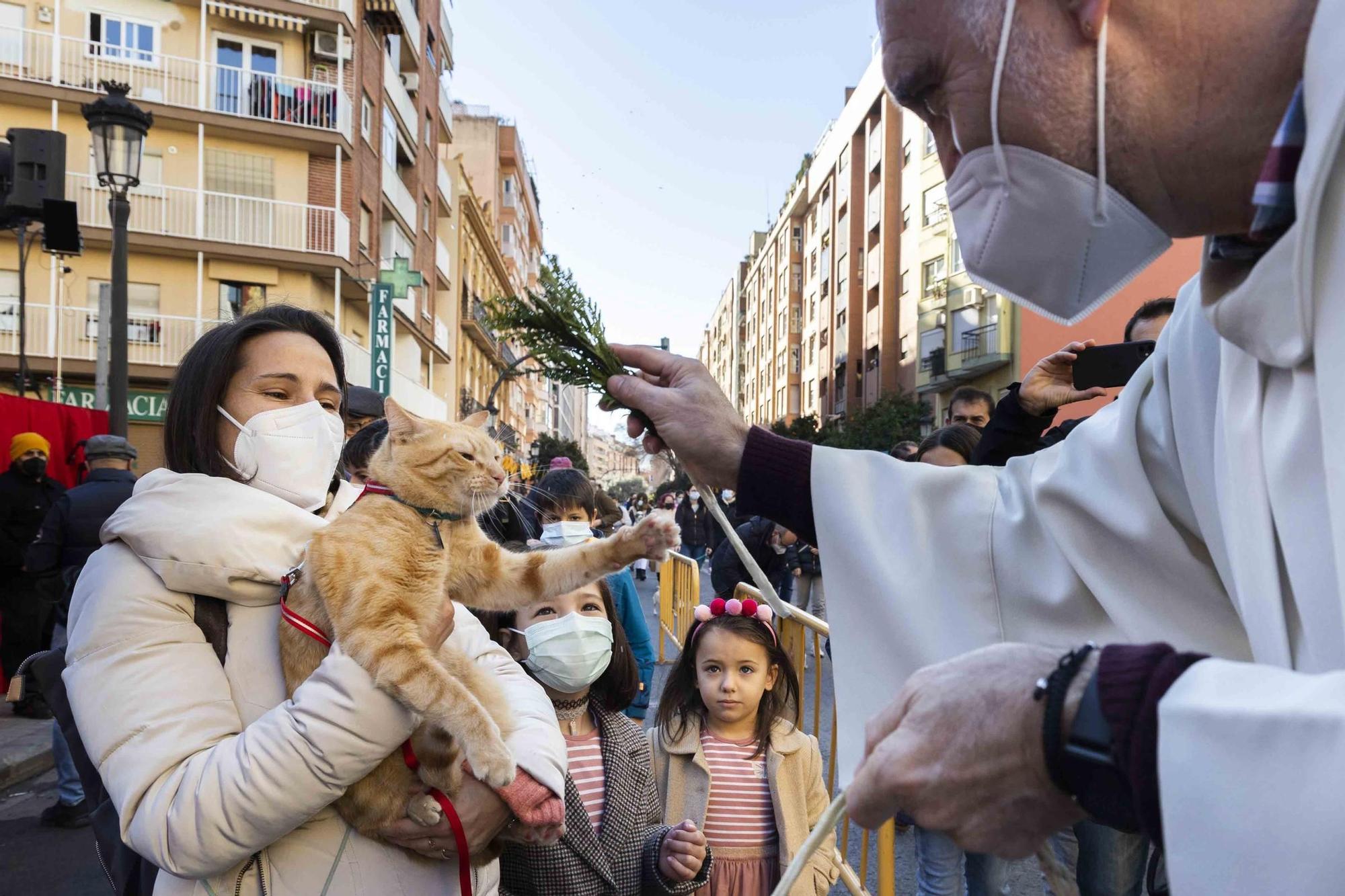 Búscate en la bendición de animales de Sant Antoni