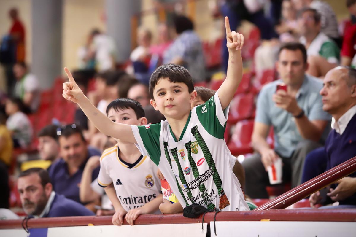 Córdoba Futsal-Jimbee Cartagena: el partido de Vista Alegre en imágenes Córdoba Futsal-Jimbee Cartagena: el partido de Vista Alegre en imágenes