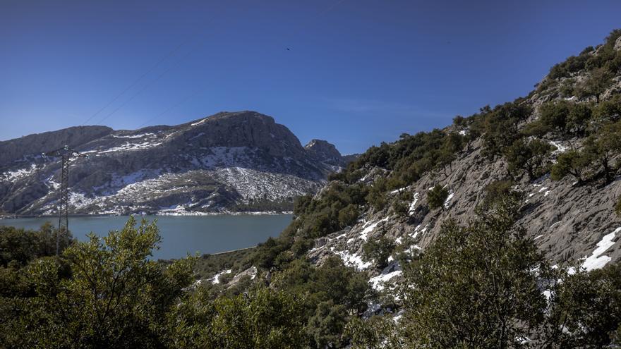 Mezcla de caos y belleza en la Serra de Tramuntana tras el paso de la borrasca Juliette