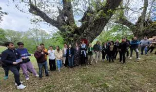 Artistas galegos apadriñaron castiñeiros no Festival Latexos do Rural en Riós