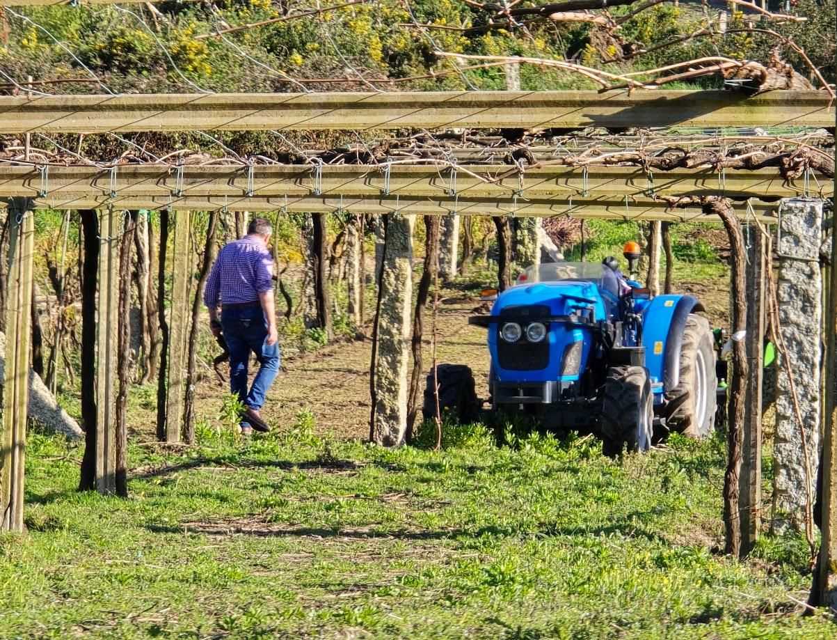 Arousanos aprovechando el buen tiempo para preparar sus tierras de cultivo.