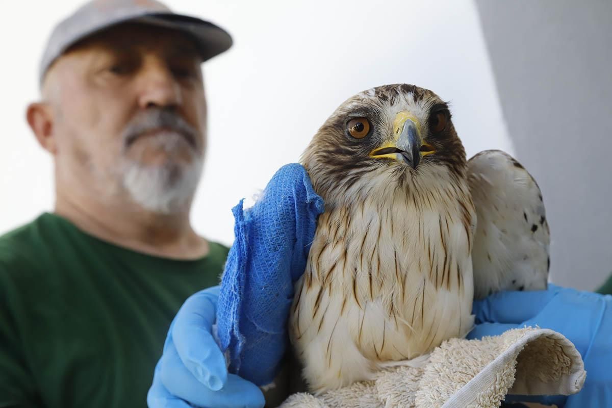 El Centro de recuperación de especies amenazadas de Córdoba, en imágenes