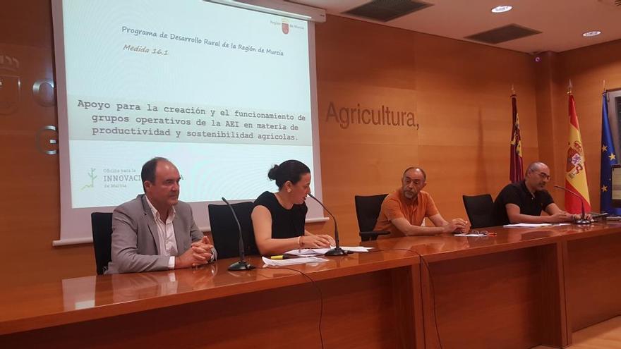 Los directores generales y técnicos de Agricultura presentan la nueva línea de ayudas del Programa de Desarrollo Rural de la Región de Murcia