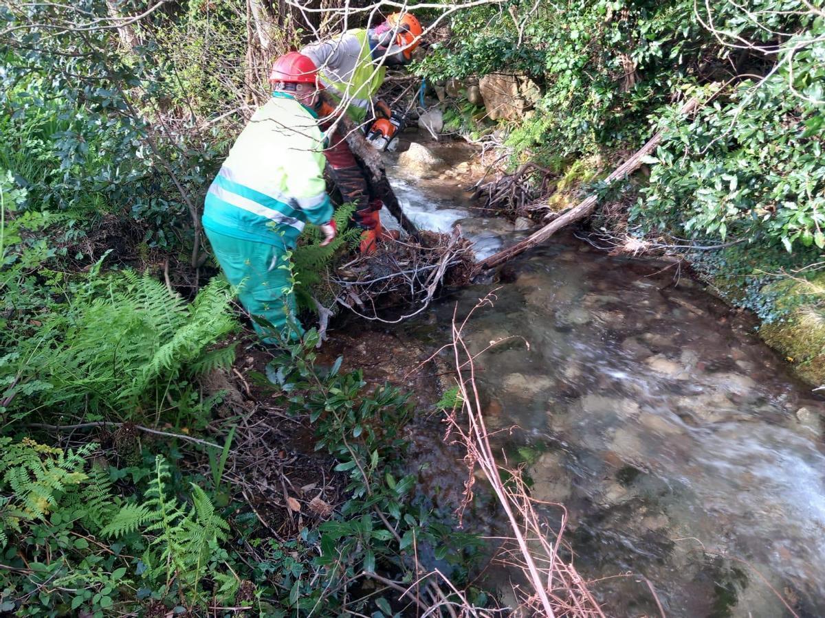 Dous operarios realizando tarefas de limpeza nun río.