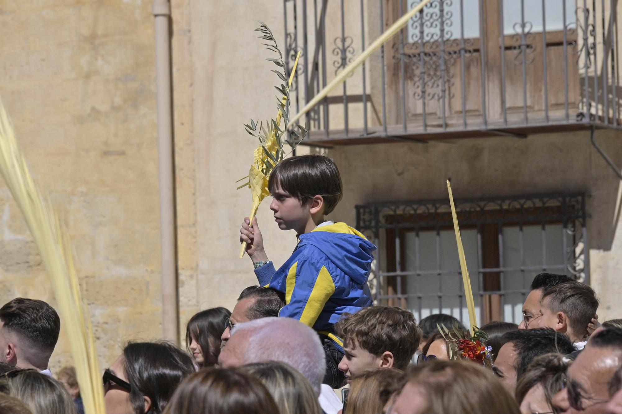 Domingo de Ramos en Elche