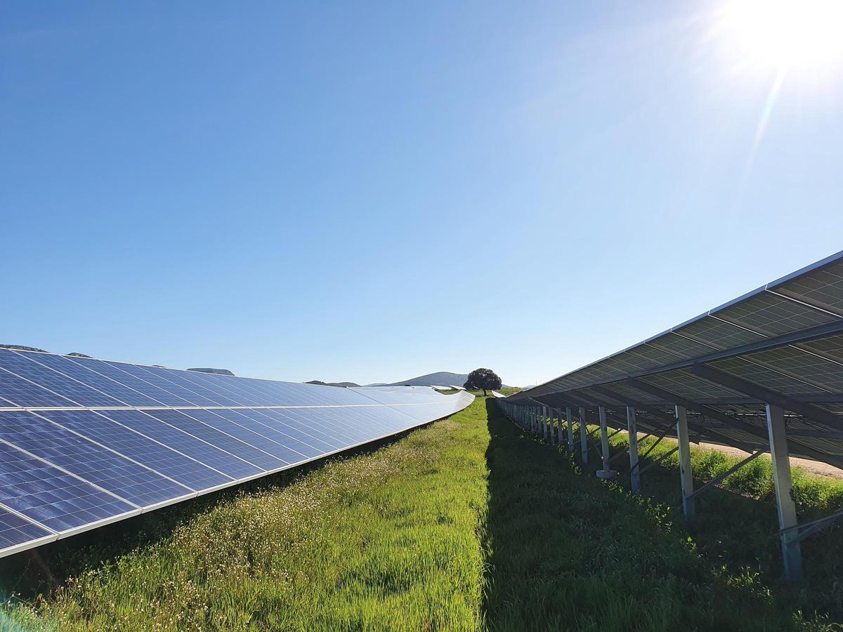 Los parques fotovoltaicos contribuyen a la lucha contra el cambio climático.