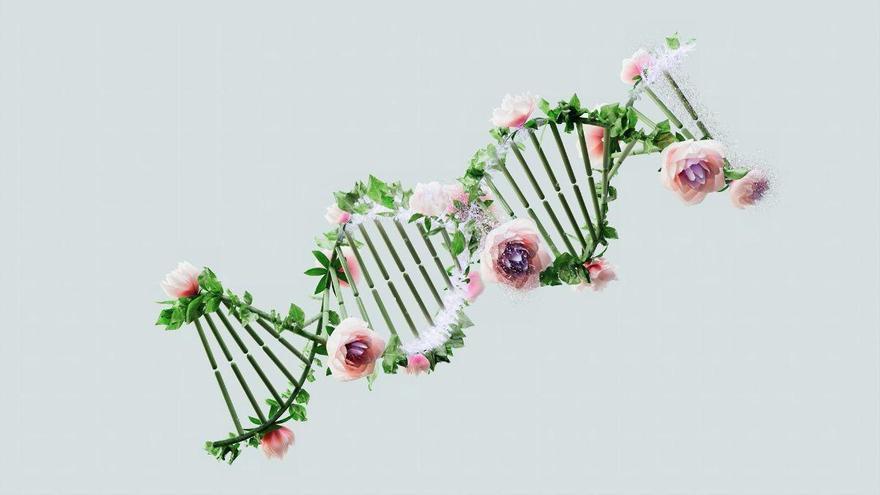 A "Google" for RNA could reveal cell secrets previously inaccessible
