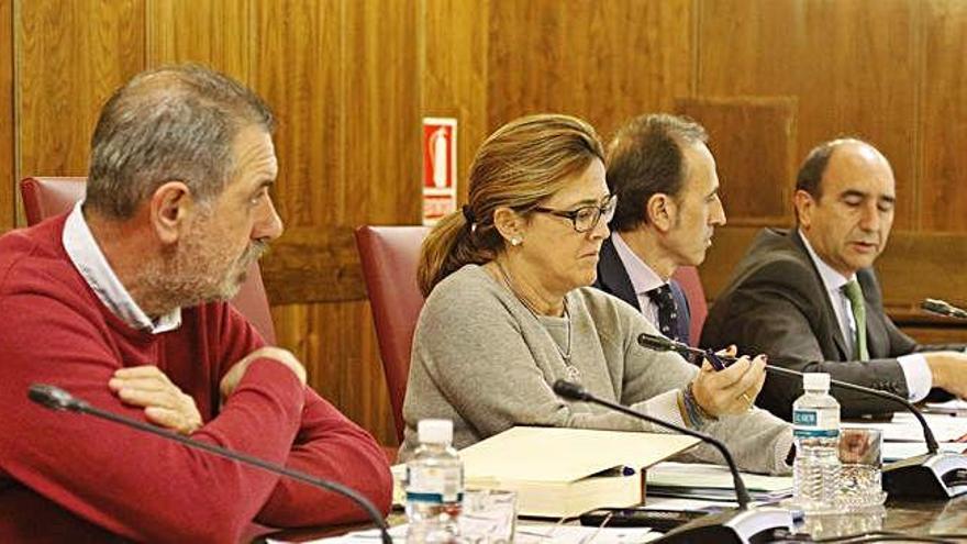 Juan Dúo, Mayte Martín, José Luis Prieto y Aurelio Tomás durante el Pleno de la Diputación.