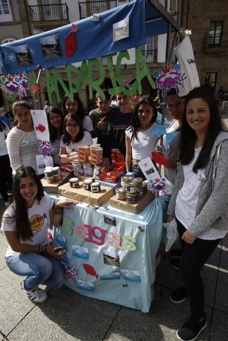 Mercado de cooperativas y asociaciones en Avilés