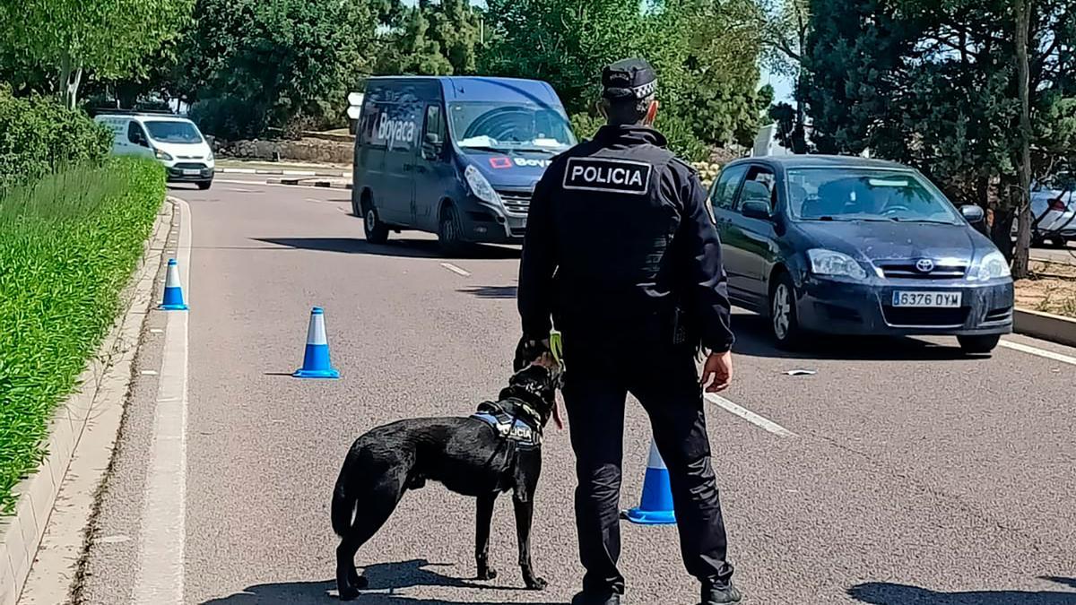 Uno de los perros, en un control policial.