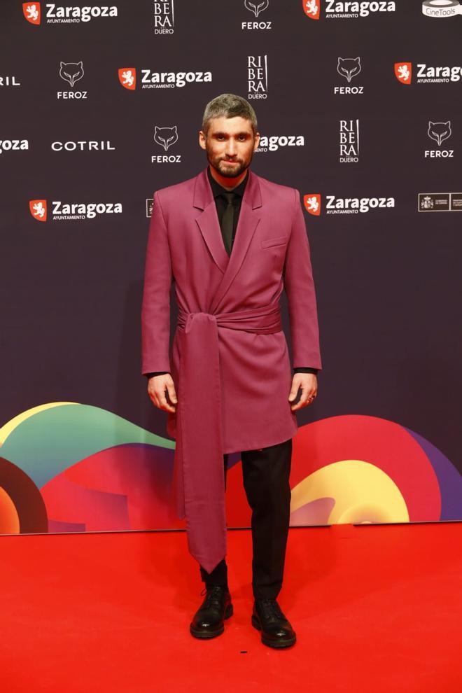 Las mejores imágenes de la alfombra roja de los Premios Feroz