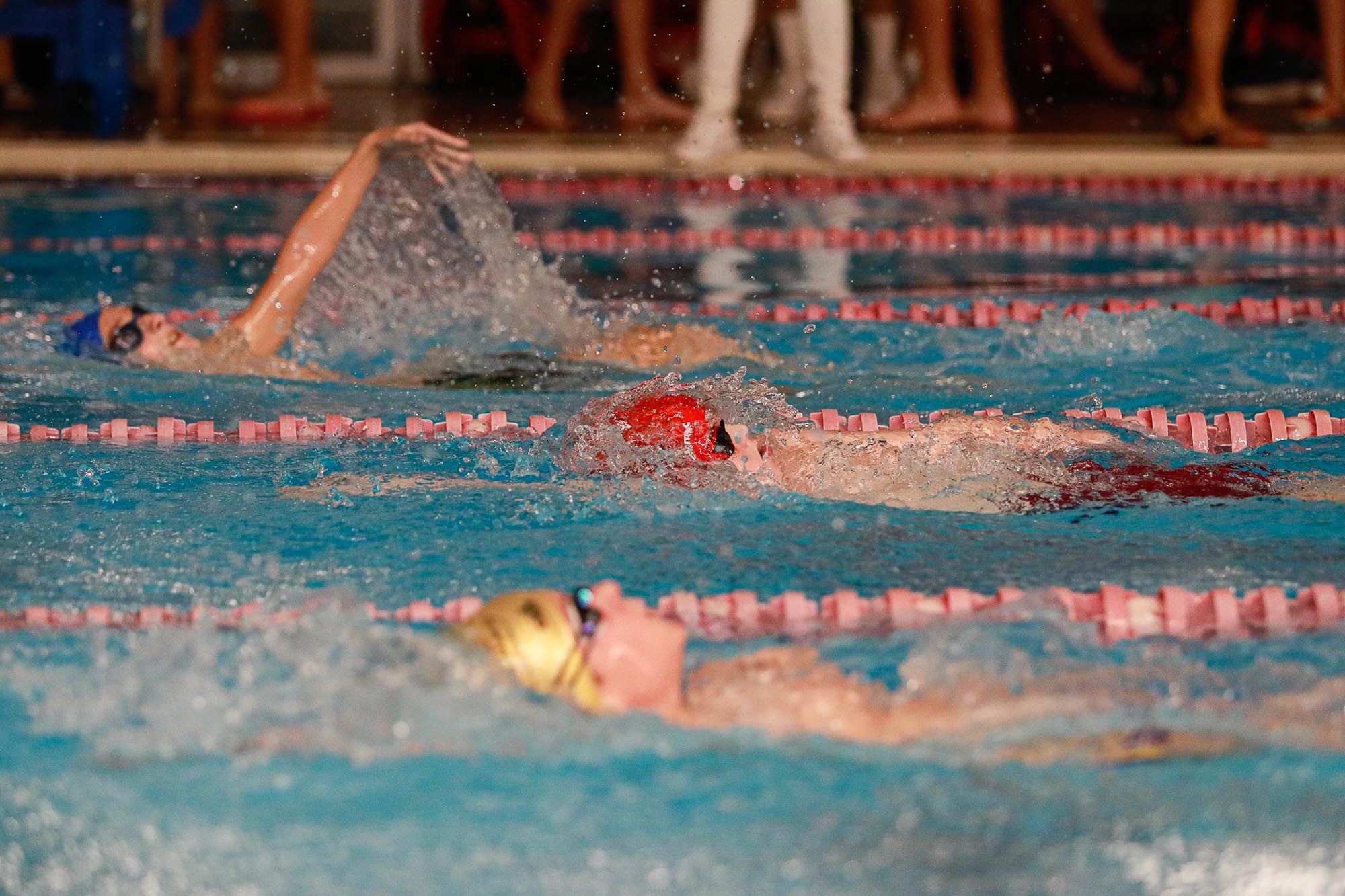 Trofeo Portus de Natación