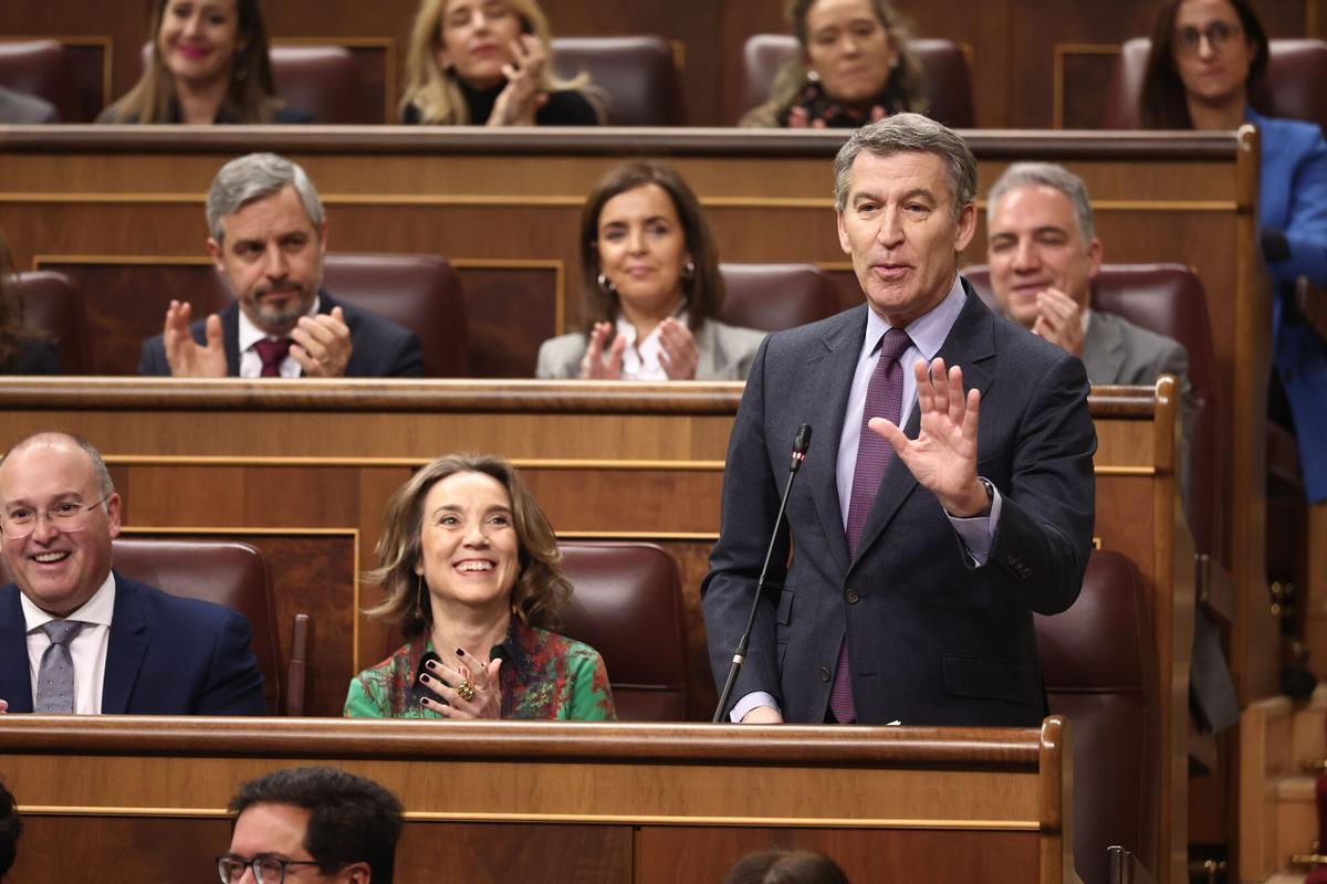 El presidente del PP, Alberto Núñez Feijóo, durante la sesión de control al Gobierno en el Congreso.