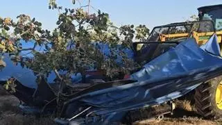 El pistacho inicia una nueva cosecha en España, marcada por la caída de producción internacional