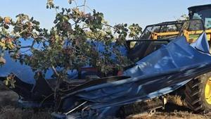 El festuc inicia la collita a Espanya, marcada per la caiguda de producció internacional: «A nosaltres, la calor ens ha anat bé»