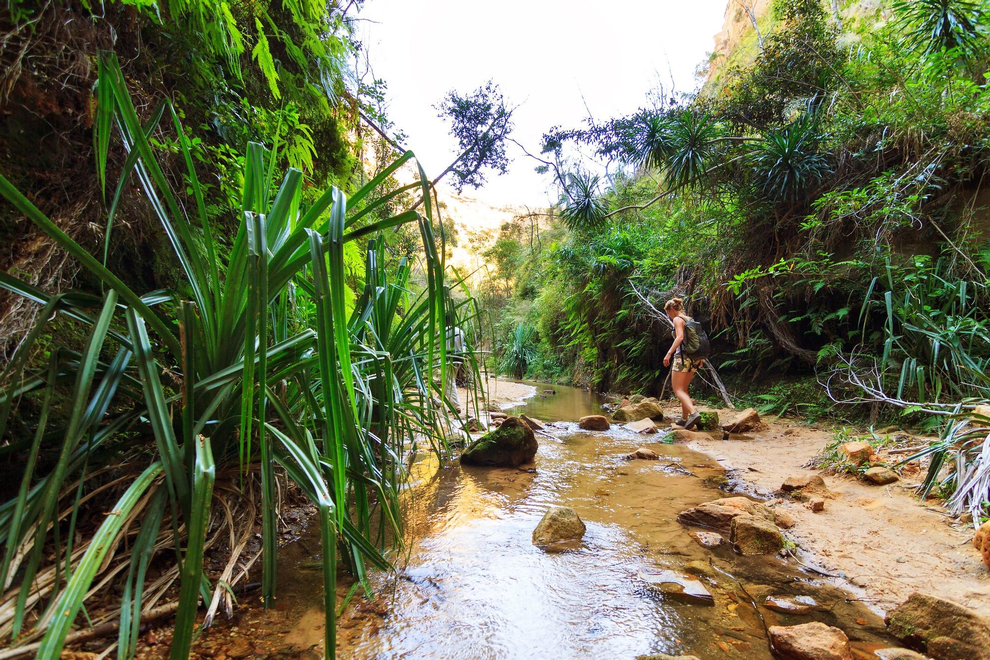 Parque nacional de Isalo.